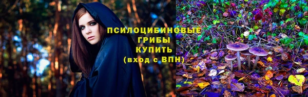 ECSTASY Волоколамск